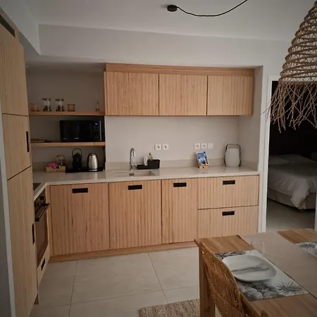 Apartment - Giens 1 4 Personnes Jardin Plancha Parking Prive - Olivier